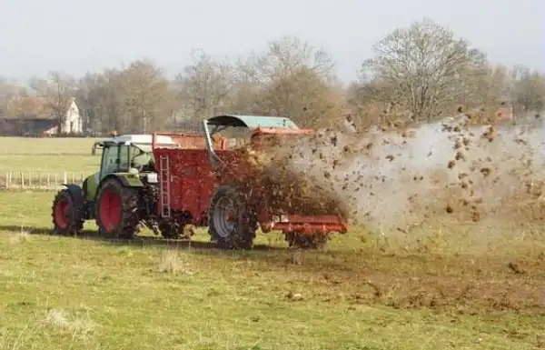 Ciągnik z rozrzutnikiem obornika podczas pracy na polu