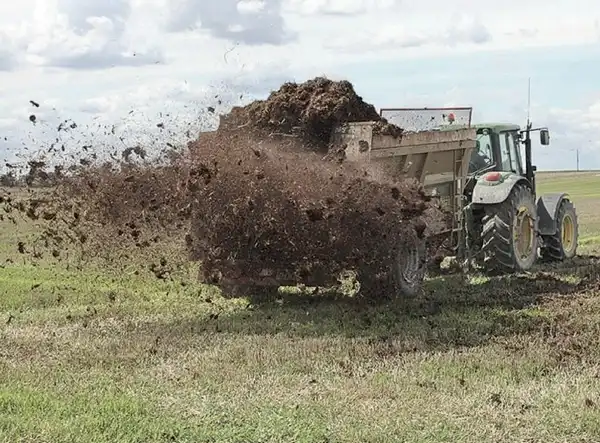Rozrzucanie obornika na polu